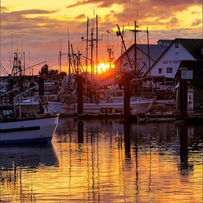 Lifelong Richmond resident 🏡 hockey fan 🏒sun chaser ☀️ advocate for equality 📢. Tweets are my own 🐥