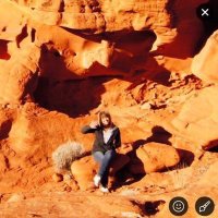 Carolyn S (@samesvegasss) 's Twitter Profile