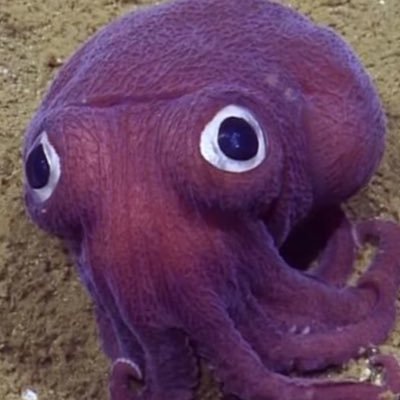 @arsenal | 🏴🇩🇪 | @cookiefnr @tesco @19scazorla | Squid#7496