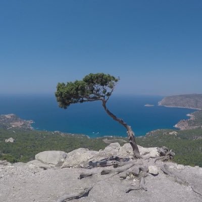 mlapi91's profile picture. 