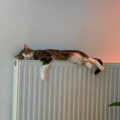 carmatty_'s profile picture. [i am here from time to time] Junior A.D/Graphic Designer. Geek. Watching a shit ton of shows.