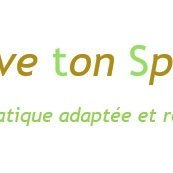 L'association Sauve Ton Sport est née de l'idée de rassembler les valeurs actuelles et celles du mouvement sportif afin de développer des projets responsables.