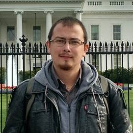 I'm a computer scientist with PhD in Environmental Sciences processing and analysing Earth observation and environmental data.