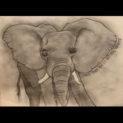 W8PBuMABBfNwKBO's profile picture. 鈴え介、はる、翔君、かすみちゃん、れーなちゃん、すずか、はく君、可愛い子供達，孫を応援中…