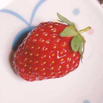 しま🍓さんのプロフィール画像