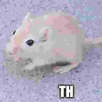 Clawale1's profile picture. they/it god fuck its 2am and i have school tomorrow help me