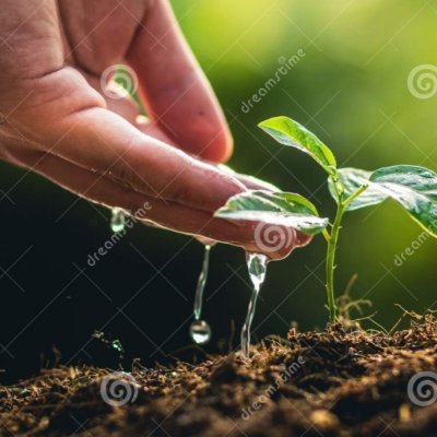 AfricaRelh's profile picture. Realtor|Climate Change enthusiast|Roads & Building Contractors|Sustainable Developer|Landscaping|Conservancy|Clean Green Cities Advocacy|General Merchants