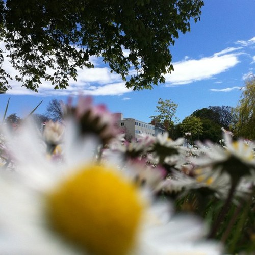 taren_jane's profile picture. photographer, graphic & web designer, Executive House Rep, passionate naturalist, lover of animals - and plants for that matter...