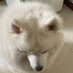 见笑了 (@rangdajiajianxi) Twitter profile photo 见笑了 (@rangdajiajianxi) Twitter profile photo