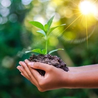 madridalnatural's profile picture. 🌏 Medio Ambiente, Emprendimiento #Ecotips y Mucho #Madrid.📍