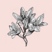 Bad Lilies (@badlilies) 's Twitter Profile Photo Bad Lilies (@badlilies) 's Twitter Profile Photo