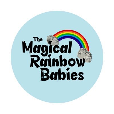 The Magical Rainbow Babies