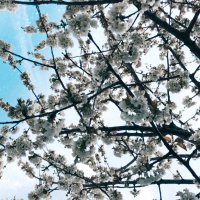 Evi (@evi97273895) 's Twitter Profile