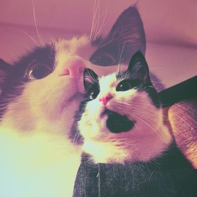 Keittobanaaniさんのプロフィール画像