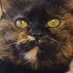 원두씨 (@wondoothecat) Twitter profile photo 원두씨 (@wondoothecat) Twitter profile photo