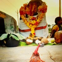 திருநெல்வேலிகாரன்👈👑 (@vin_o_vinoth) 's Twitter Profile