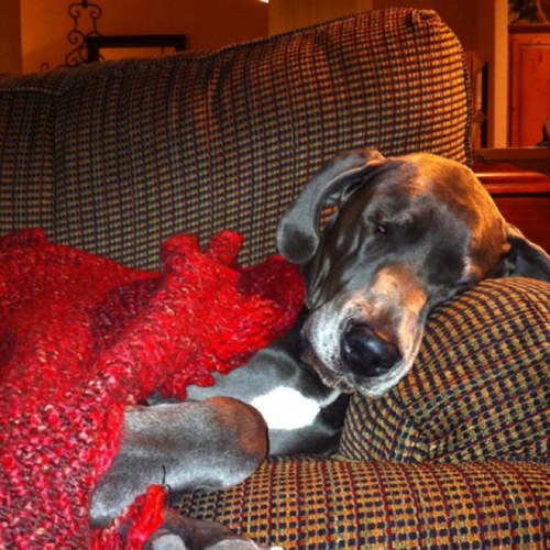 CathyYih's profile picture. 