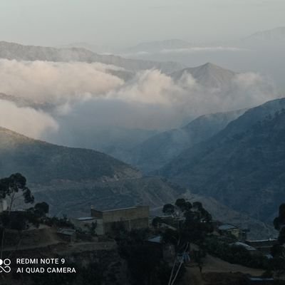 kokobghidey's profile picture. 