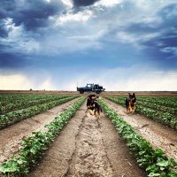 Brigga Farms (@brigga_farms) 's Twitter Profile Photo Brigga Farms (@brigga_farms) 's Twitter Profile Photo
