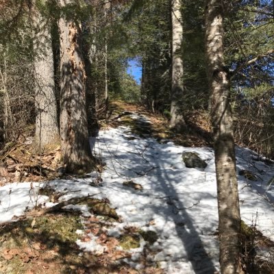 FreedomMom6's profile picture. 