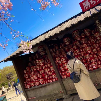 fmblovekuma's profile picture. えむゆーあんだーばー
