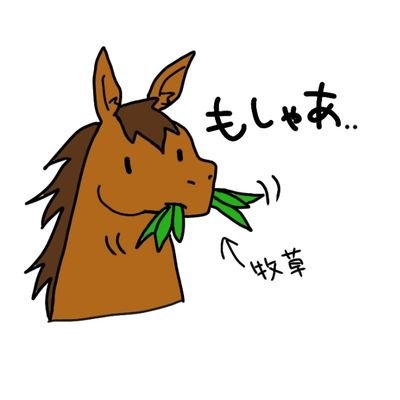 さんだばさんのプロフィール画像