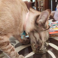 LUiS (@leeaks__) 's Twitter Profile