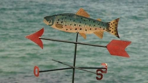 jomaperdomo's profile picture. 