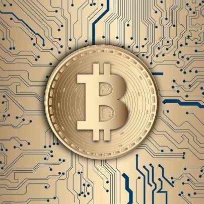 CriptoWorld7's profile picture. 