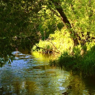 Maaike28Douglas's profile picture. Love my family!