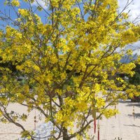 BBNN (@bban2017) 's Twitter Profile