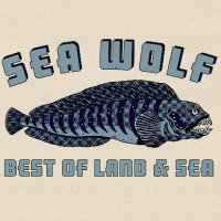 Seawolf(@SeawolfUS) 's Twitter Profile Photo