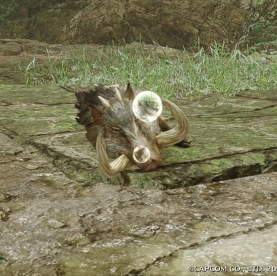 たきさんのプロフィール画像
