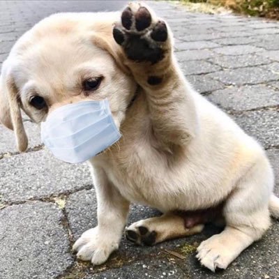 difoxn's profile picture. Work : 📦 Boxbar