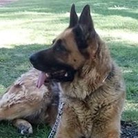 Pablo Rocco (@chechopaternal) 's Twitter Profile