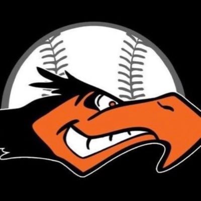 KHSDirtyBird's profile picture. Unofficial KHS Keene High Blackbird Varsity Baseball Fan Page. NHIAA DIV1 Keene, NH. News, Photos, Video Highlights.