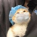 Mirian Coronel - @MiriannCoronel - Twitter