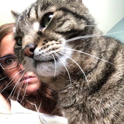 BeckyBrann's profile picture. marketing pro | badger alum | wife | momma | baseball fan | traveler | country music aficionado