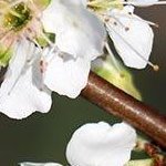 msevik's profile picture. 