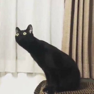 rochefeuille974's profile picture. 