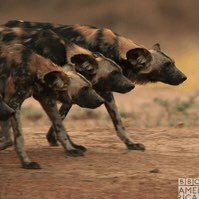 talejandraci's profile picture. 