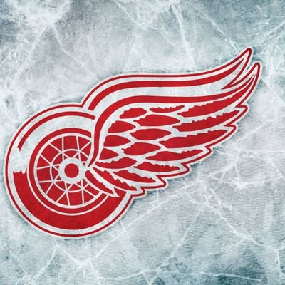 Diehard Red Wings fan and love hockey in general. Greatest sport in the world. I also have a 6 year old son who is my world. Democrat! #VoteBlue 💙 #LGRW