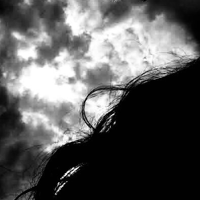 latenig46827692's profile picture. 