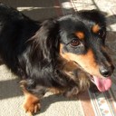 Ｄａｉ@@v - @red_Bill_dai - Twitter