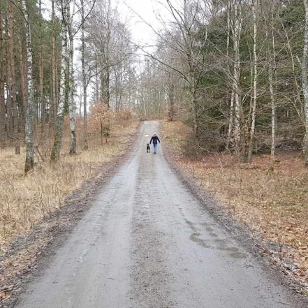 Koolof's profile picture. 