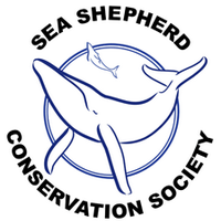 SeaShepherds (@theseashepherds) 's Twitter Profile