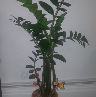 JoseGil07141381's profile picture. A los que me siguen todo mi corazon. A los que sigo, lo hago desde mi corazon solidario y democrata.