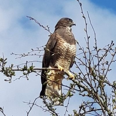 BrianMu65414245's profile picture. I'm Brian I'm the type of guy I'll try anything once