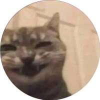 DANTE (@secimlegeldik) 's Twitter Profile