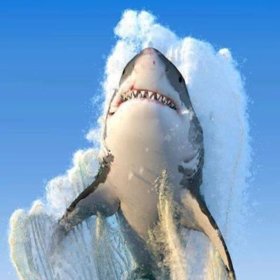 Tank_Jones1's profile picture. 